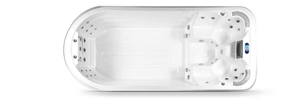 Beluga